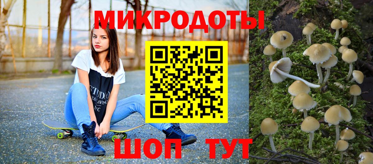 Мценск  Галлюциногенные грибы прущие грибы  Вход с VPN 